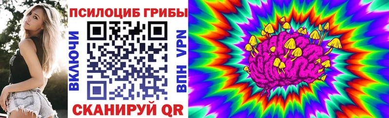 Галлюциногенные грибы Cubensis  Дербент 