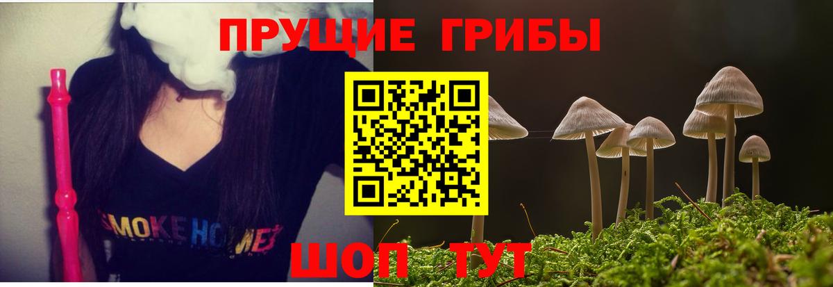 Псилоцибиновые грибы Cubensis  Вход с VPN  Дербент 